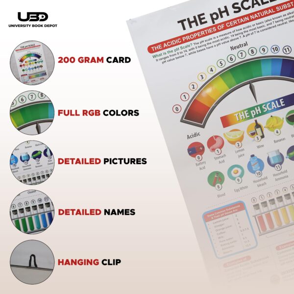 The PH Scale - Image 3