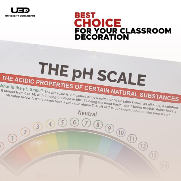 The PH Scale - Image 4