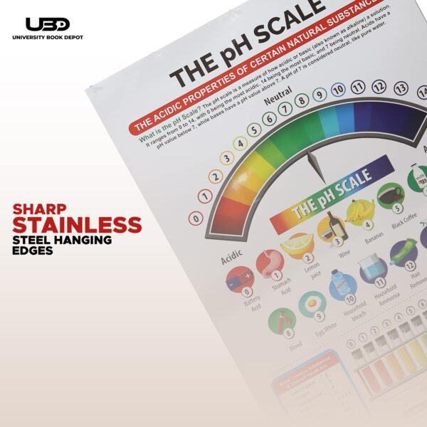 The PH Scale - Image 7