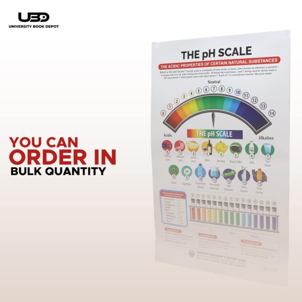 The PH Scale - Image 8