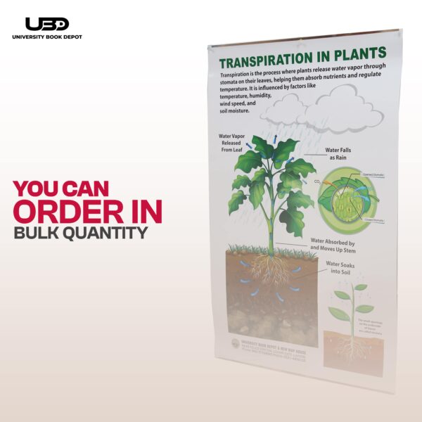 Transpiration IN Plants - Image 8