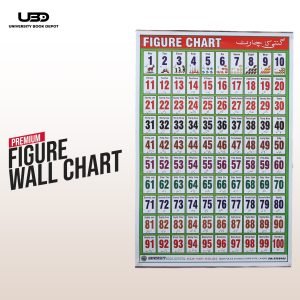 Counting 1 to 100 with English & Urdu Names Wall poster | Counting Wall Chart for Classrooms
