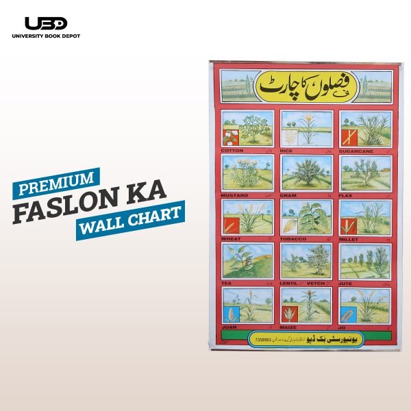 Different Type of Crops Wall Charts | Wall Poster of Crops with Pictures