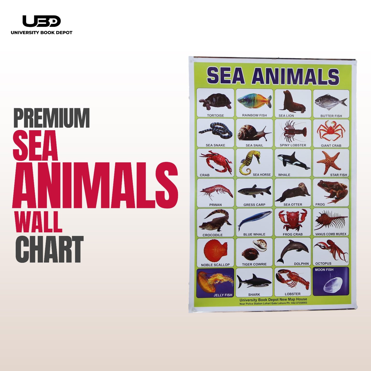 Sea Animals Wall charts For classroom | High Quality Sea Animals Chart ...