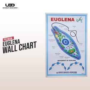 Euglena Wall Poster | Wall Chart For Science Labs Decoration