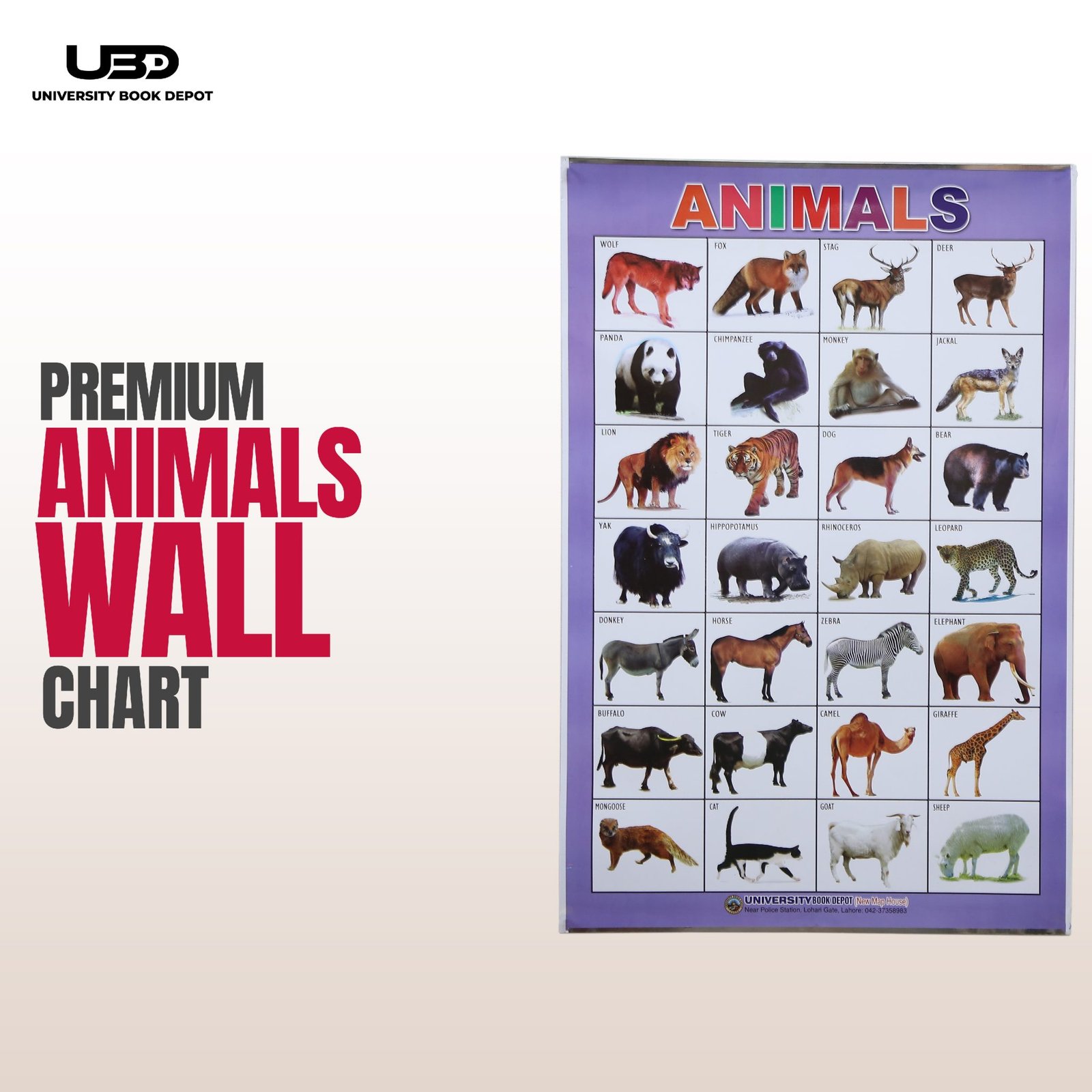 Animals Name Wall Charts | Animal Names with Pictures – University Book ...