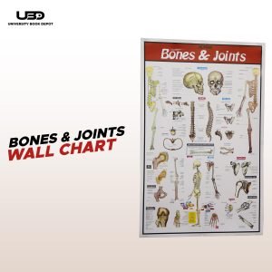 Bones and Joints Science Wall Chart