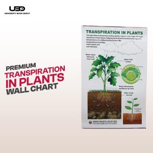 "Transpiration in Plants" wall chart