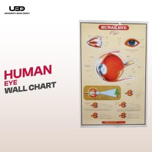 Human Eye Wall chart | Wall Poster for Science and Lab Decoration |