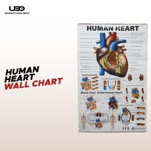 Human Heart Wall Chart | Wall Poster for Science Lab and clinics Decoration |