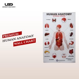 Human Anatomy Wall Chart