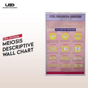 "Cell Division: Meiosis" wall chart