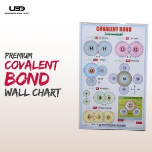 Covalent Bond Presentation on Wall Charts