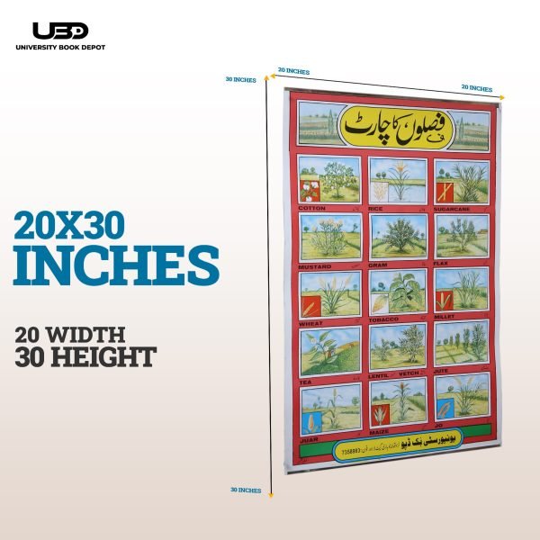 Different Type of Crops Wall Charts | Wall Poster of Crops with Pictures - Image 2