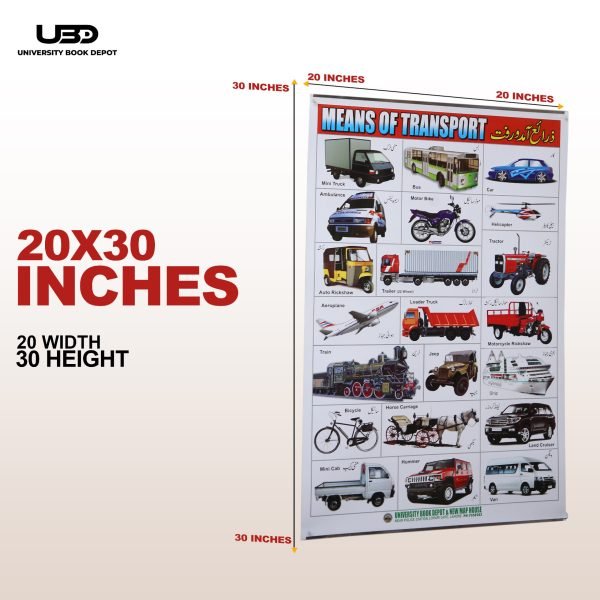 Means of Transport Wall Chart | Wall Poster of Transport for School and Classrooms Decoration - Image 2