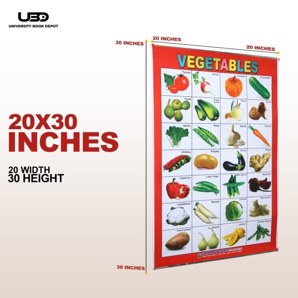 Vegetables Name Wall Chart | Wall Poster of Vegetable Names in English and Urdu with Pictures - Image 2