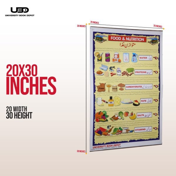 Food and Nutrition Wall Chart | Matwazan ghiza Wall Poster For clinics and hospitals - Image 2