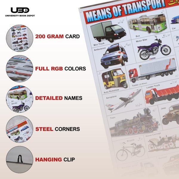 Means of Transport Wall Chart | Wall Poster of Transport for School and Classrooms Decoration - Image 3
