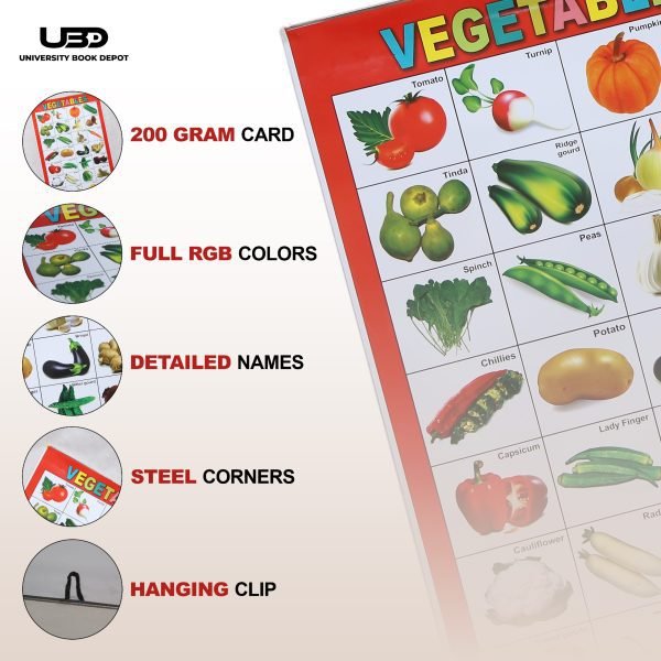 Vegetables Name Wall Chart | Wall Poster of Vegetable Names in English and Urdu with Pictures - Image 3