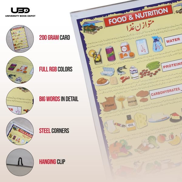 Food and Nutrition Wall Chart | Matwazan ghiza Wall Poster For clinics and hospitals - Image 3