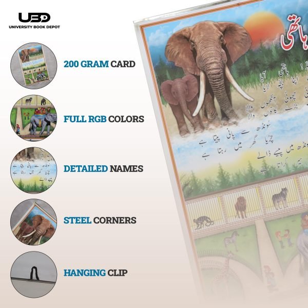 Urdu Poem "Hathi" Wall Chart for Kids - Classroom & School Decoration - Image 3