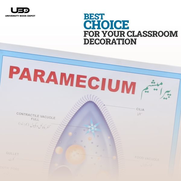 Paramecium Wall Poster | Wall Chart For Science Labs Decoration - Image 4
