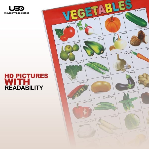 Vegetables Name Wall Chart | Wall Poster of Vegetable Names in English and Urdu with Pictures - Image 6