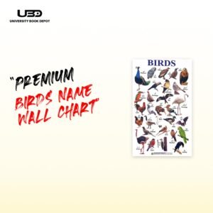 Birds Name Wall Chart 23*36 inches printed on 210 gram Laminated Card