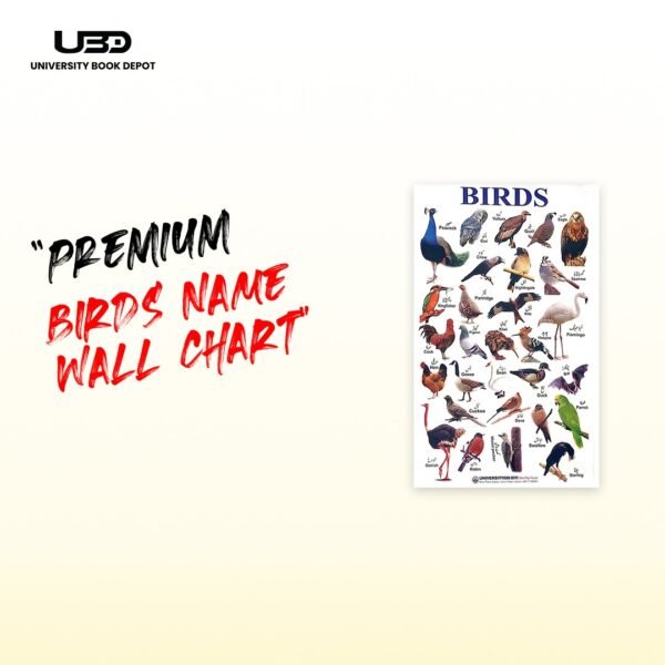 Birds Name Wall Chart 23*36 inches printed on 210 gram Laminated Card