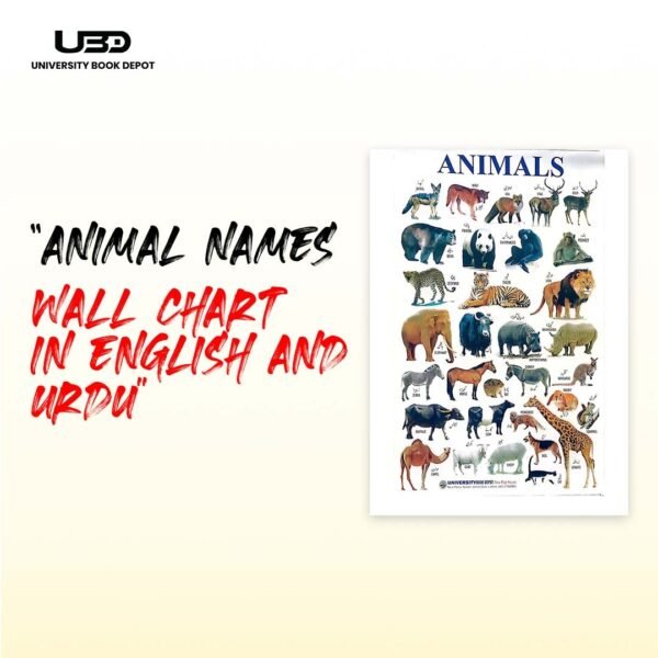 Animals Name Wall Chart 23*36 inches printed on 210 gram Laminated Card