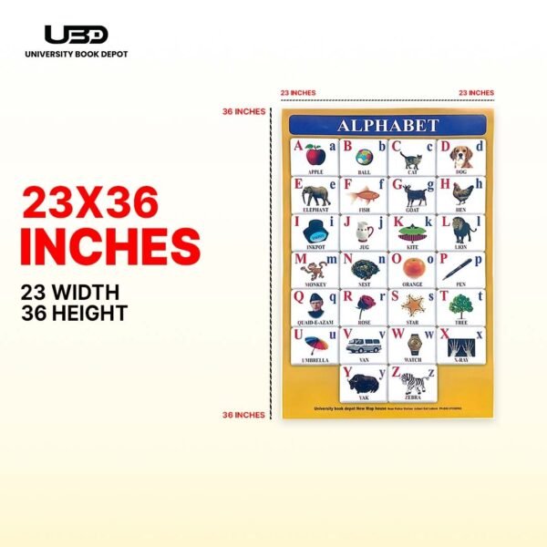 Capital and Small Alphabets Wall Chart 23*36 inches printed on 200 gram Laminated Card - Image 2