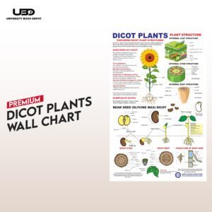 Dicot Plant Wall Chart | HD Picture Presentation on 200 Grams Laminated Card 23*36 inches