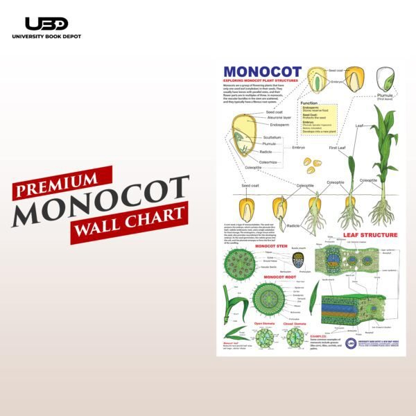 Monocot Plant Wall Chart | HD Picture Presentation on 200 gram laminated card 23*36 inches
