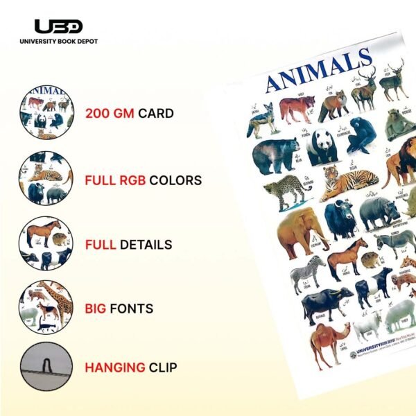 Animals Name Wall Chart 23*36 inches printed on 210 gram Laminated Card - Image 3