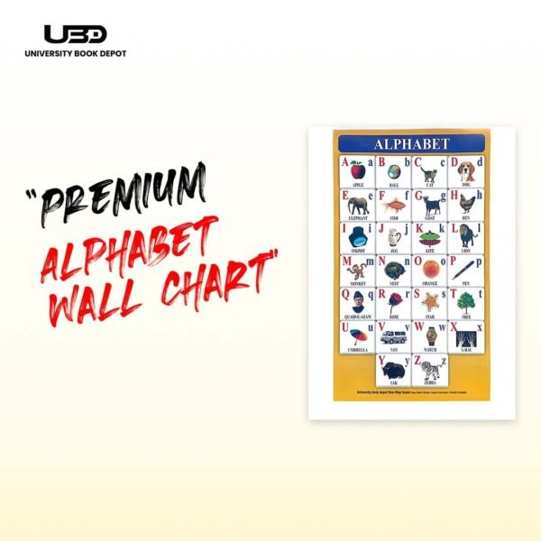 Capital and Small Alphabets Wall Chart 23*36 inches printed on 200 gram Laminated Card - Image 3