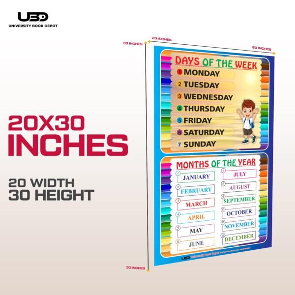 Days of Week & Months Name Wall Chart 20*30 inches | HD color printed on 200 gram Laminated card - Image 2