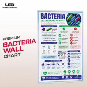 Bacteria Wall Chart 23*36 inches
